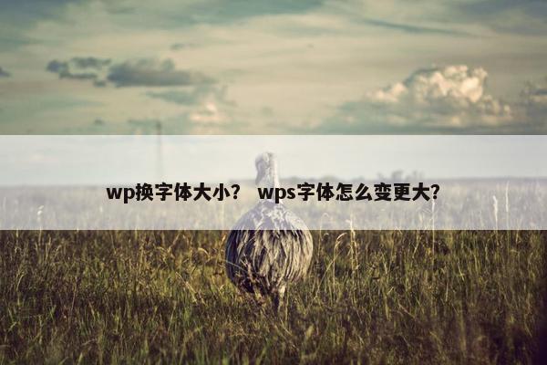 wp换字体大小？ wps字体怎么变更大？