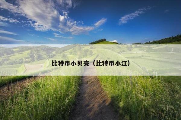 比特币小贝壳（比特币小江）