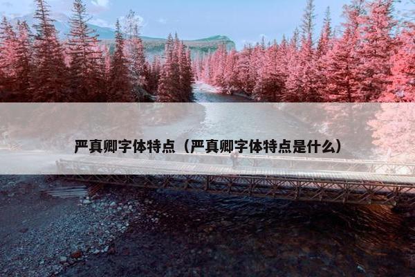 严真卿字体特点（严真卿字体特点是什么）