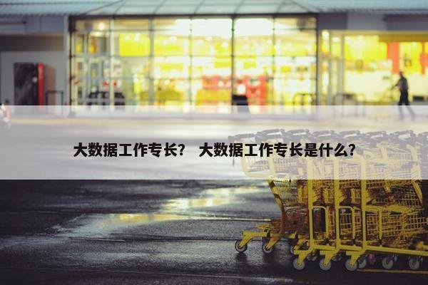 大数据工作专长？ 大数据工作专长是什么？