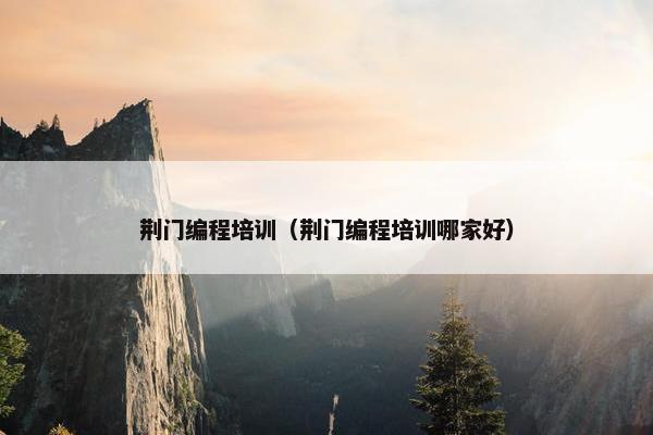 荆门编程培训（荆门编程培训哪家好）
