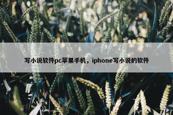 写小说软件pc苹果手机，iphone写小说的软件