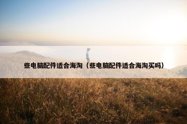 些电脑配件适合海淘（些电脑配件适合海淘买吗）
