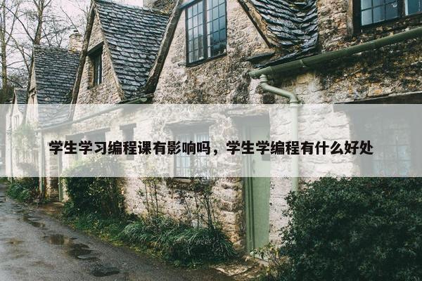 学生学习编程课有影响吗，学生学编程有什么好处