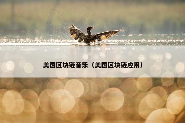 美国区块链音乐（美国区块链应用）