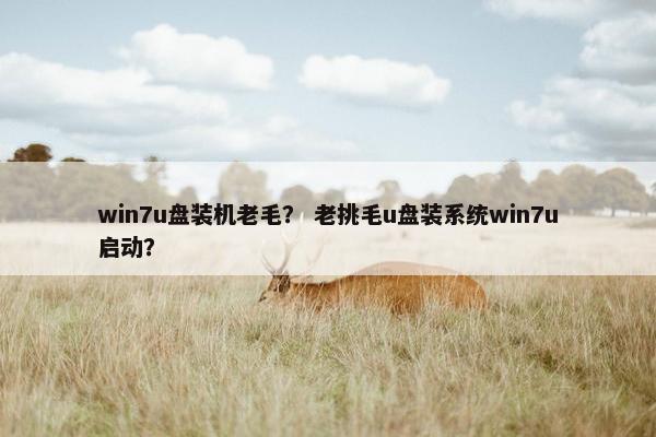win7u盘装机老毛？ 老挑毛u盘装系统win7u启动？