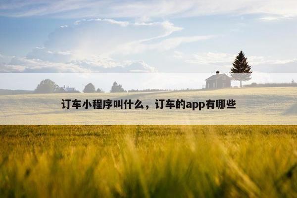 订车小程序叫什么，订车的app有哪些