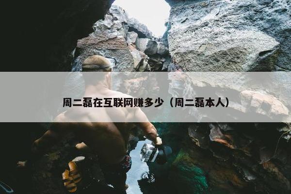 周二磊在互联网赚多少（周二磊本人）