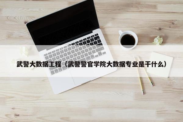 武警大数据工程（武警警官学院大数据专业是干什么）