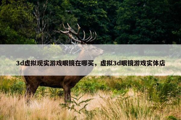 3d虚拟现实游戏眼镜在哪买，虚拟3d眼镜游戏实体店