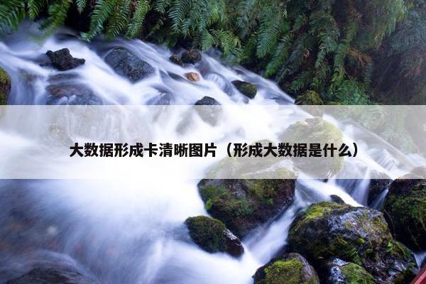 大数据形成卡清晰图片（形成大数据是什么）