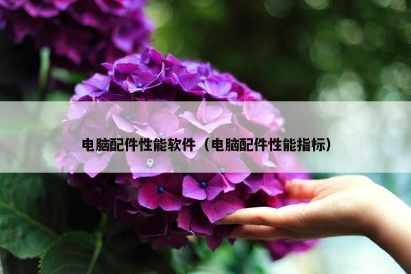 电脑配件性能软件（电脑配件性能指标）