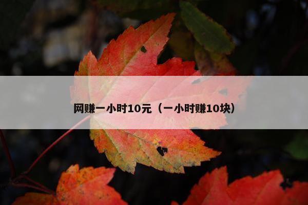 网赚一小时10元（一小时赚10块）