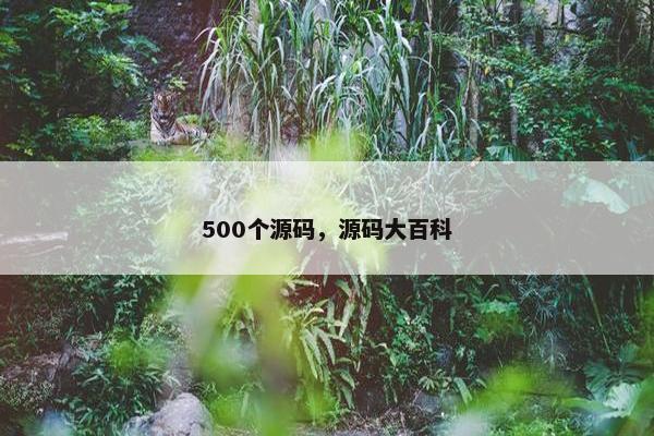 500个源码，源码大百科