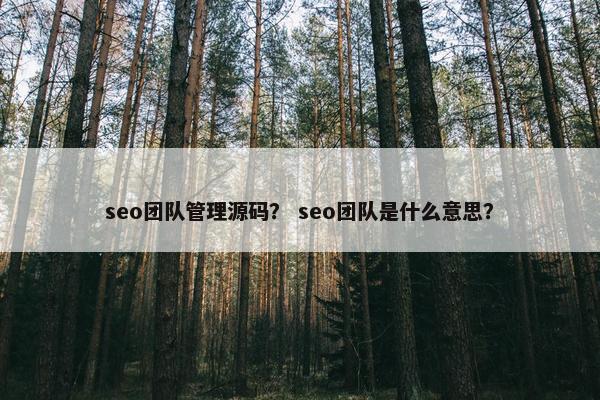 seo团队管理源码？ seo团队是什么意思？