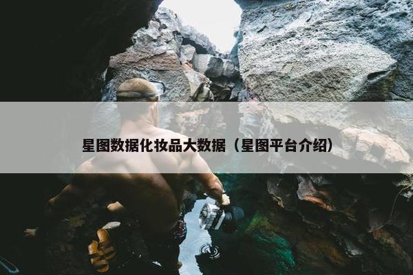 星图数据化妆品大数据（星图平台介绍）