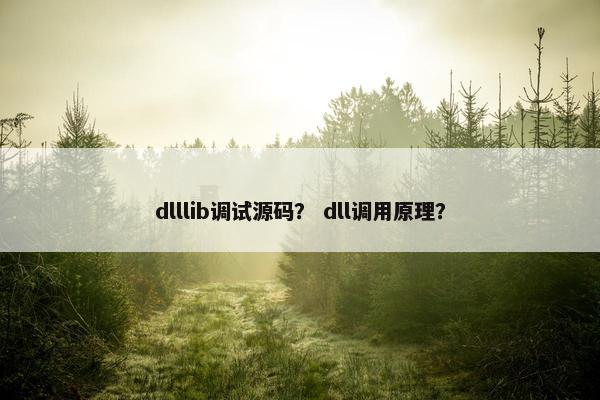 dlllib调试源码？ dll调用原理？