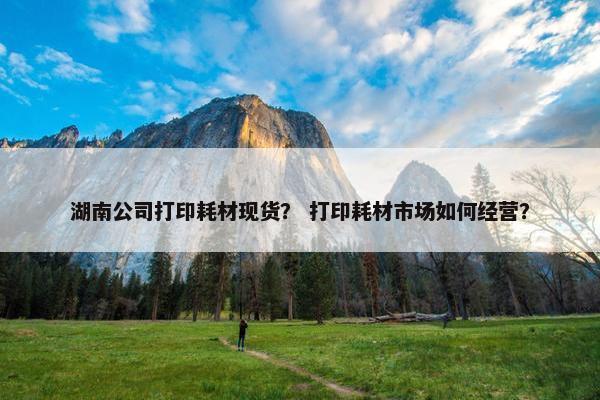 湖南公司打印耗材现货？ 打印耗材市场如何经营？