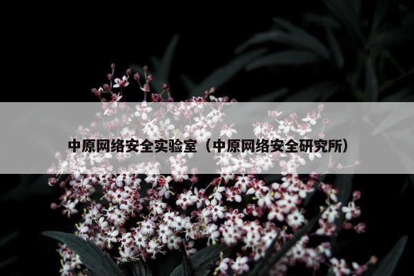 中原网络安全实验室（中原网络安全研究所）