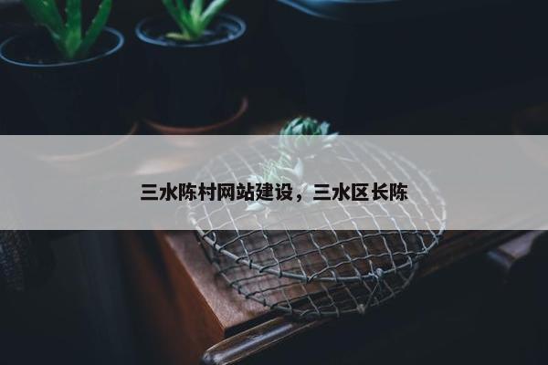 三水陈村网站建设，三水区长陈