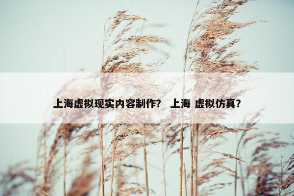 上海虚拟现实内容制作？ 上海 虚拟仿真？