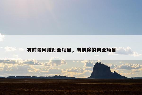 有前景网赚创业项目，有前途的创业项目