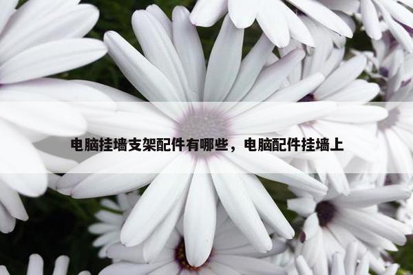 电脑挂墙支架配件有哪些，电脑配件挂墙上