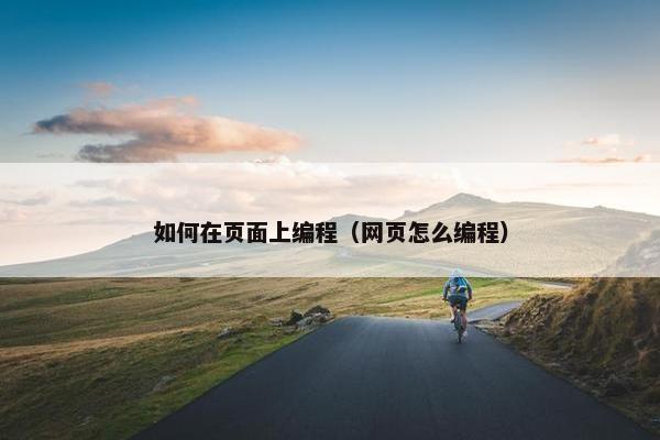 如何在页面上编程（网页怎么编程）
