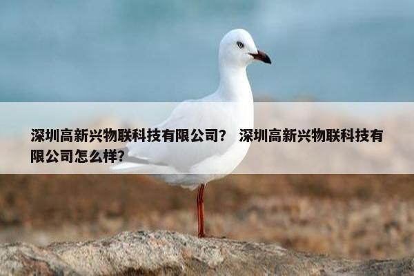 深圳高新兴物联科技有限公司？ 深圳高新兴物联科技有限公司怎么样？
