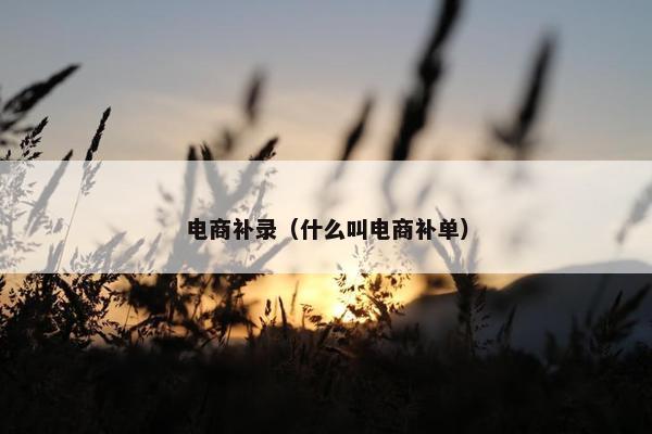 电商补录（什么叫电商补单）