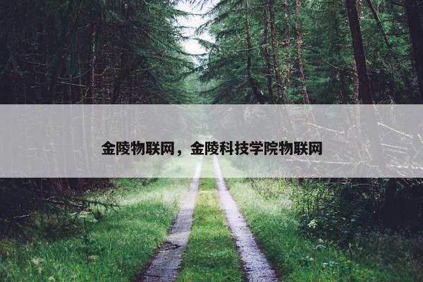 金陵物联网，金陵科技学院物联网