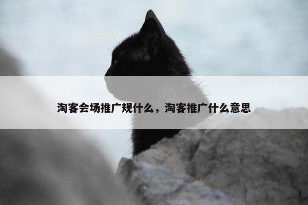 淘客会场推广规什么，淘客推广什么意思