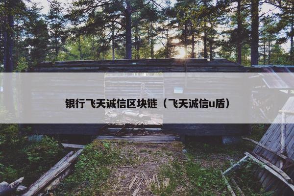 银行飞天诚信区块链（飞天诚信u盾）