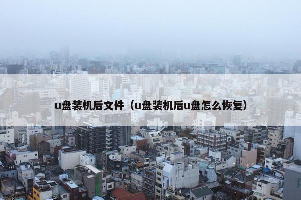u盘装机后文件（u盘装机后u盘怎么恢复）