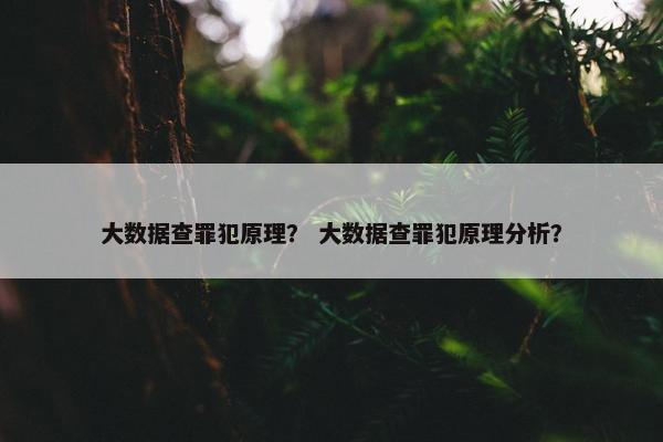 大数据查罪犯原理？ 大数据查罪犯原理分析？