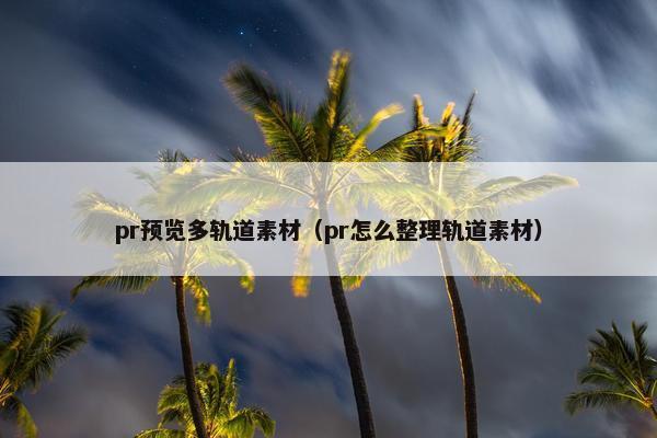 pr预览多轨道素材（pr怎么整理轨道素材）