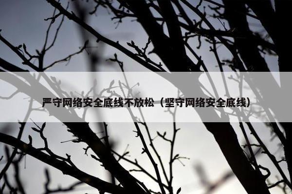 严守网络安全底线不放松（坚守网络安全底线）