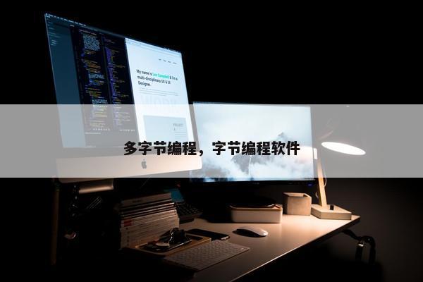 多字节编程，字节编程软件
