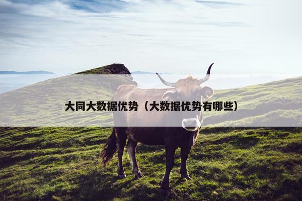 大同大数据优势（大数据优势有哪些）