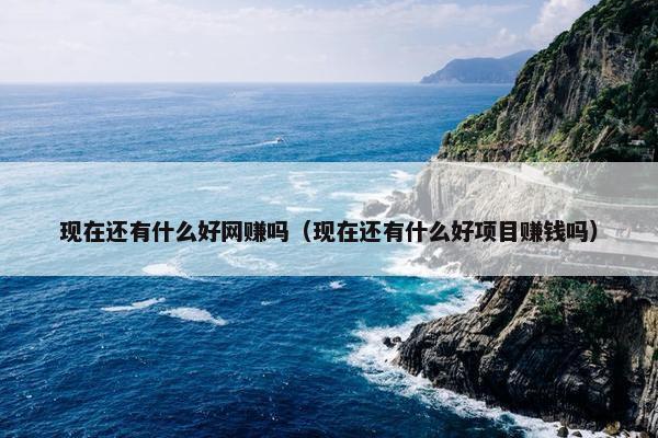 现在还有什么好网赚吗（现在还有什么好项目赚钱吗）