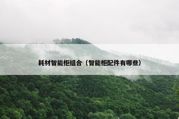 耗材智能柜组合（智能柜配件有哪些）