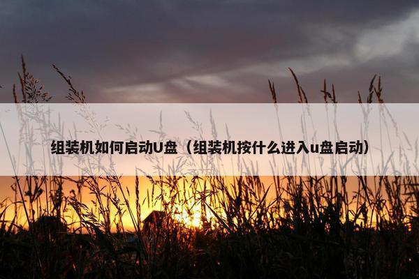 组装机如何启动U盘（组装机按什么进入u盘启动）