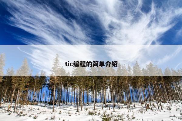 tic编程的简单介绍