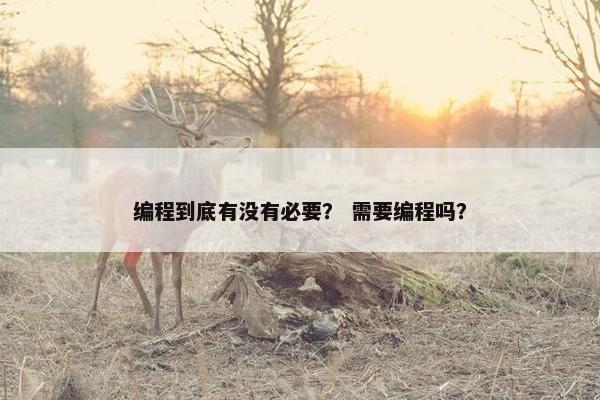 编程到底有没有必要？ 需要编程吗？