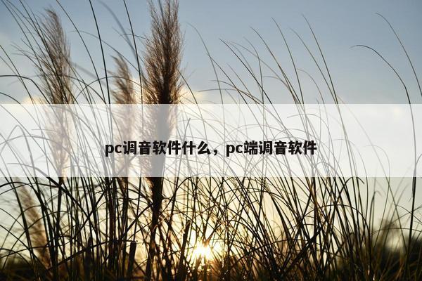 pc调音软件什么，pc端调音软件