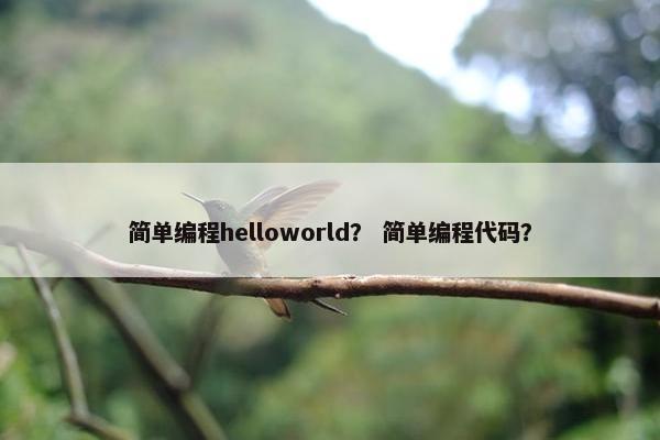 简单编程helloworld？ 简单编程代码？