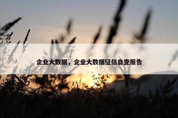 企业大数据，企业大数据征信自查报告