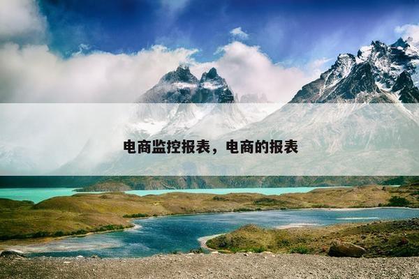 电商监控报表，电商的报表
