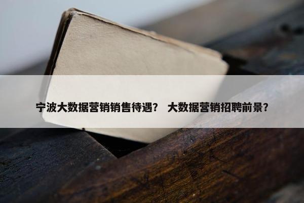 宁波大数据营销销售待遇？ 大数据营销招聘前景？