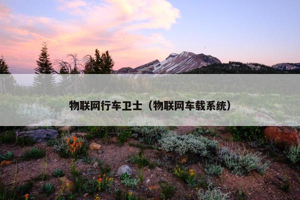 物联网行车卫士（物联网车载系统）